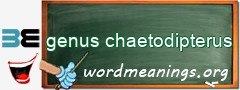 WordMeaning blackboard for genus chaetodipterus